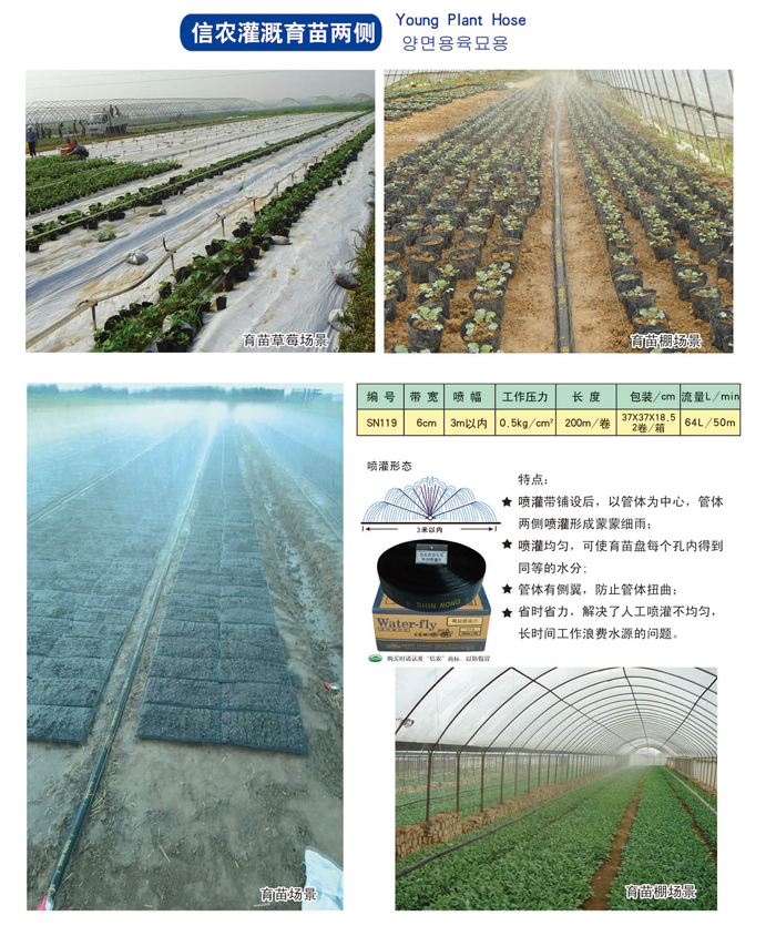 2019信農畫冊12 副本.jpg