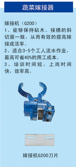 2019信農(nóng)畫(huà)冊(cè)40 副本.jpg